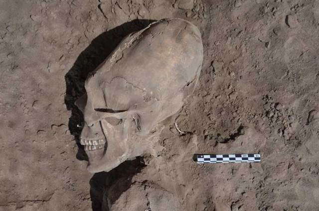 13 Alien Mayan Skull shaped Alien Mayan Crystal Skulls Carvings Gemstone Skulls Stone Skulls The cemetery was discovered by residents of a small Mexican village as they were building an irrigation canal. Human skulls Alien-like shapes have been unearthed in a 1,000-year-old cemetery in Mexico, researchers say.