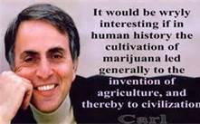 Agriculture and Cannabis Carl Sagan, It would be wryly interesting if in human history the cultivation of cannabis led generally to the invention of agriculture, and thereby to civilization. Carl Sagan