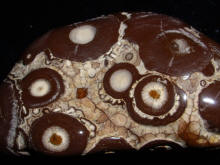 Chocolate Galaxy Specimen from the Hidden Valley Rare Collector Specimens
